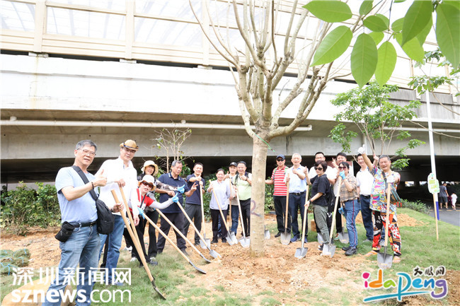 文化同源 情谊同心，侨港葵涌同乡会积极投身粤港澳大湾区建设-2.jpg