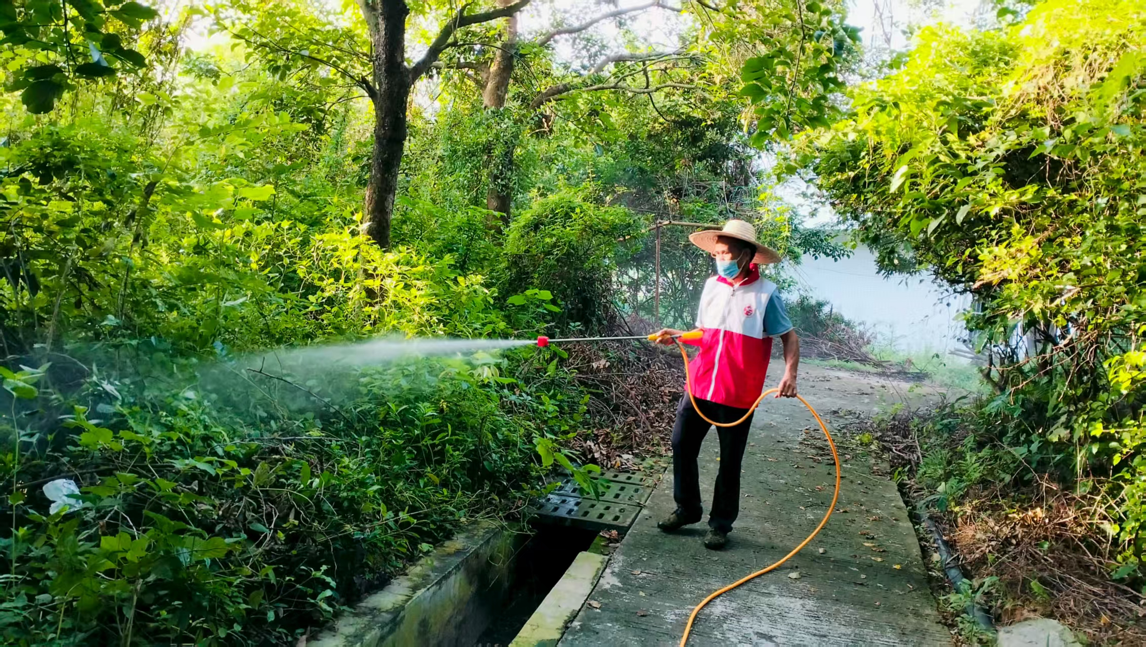 晨光里的“防蚊卫士”：火星山美晨星志愿队开展灭蚊行动，守护社区安康-5.jpg