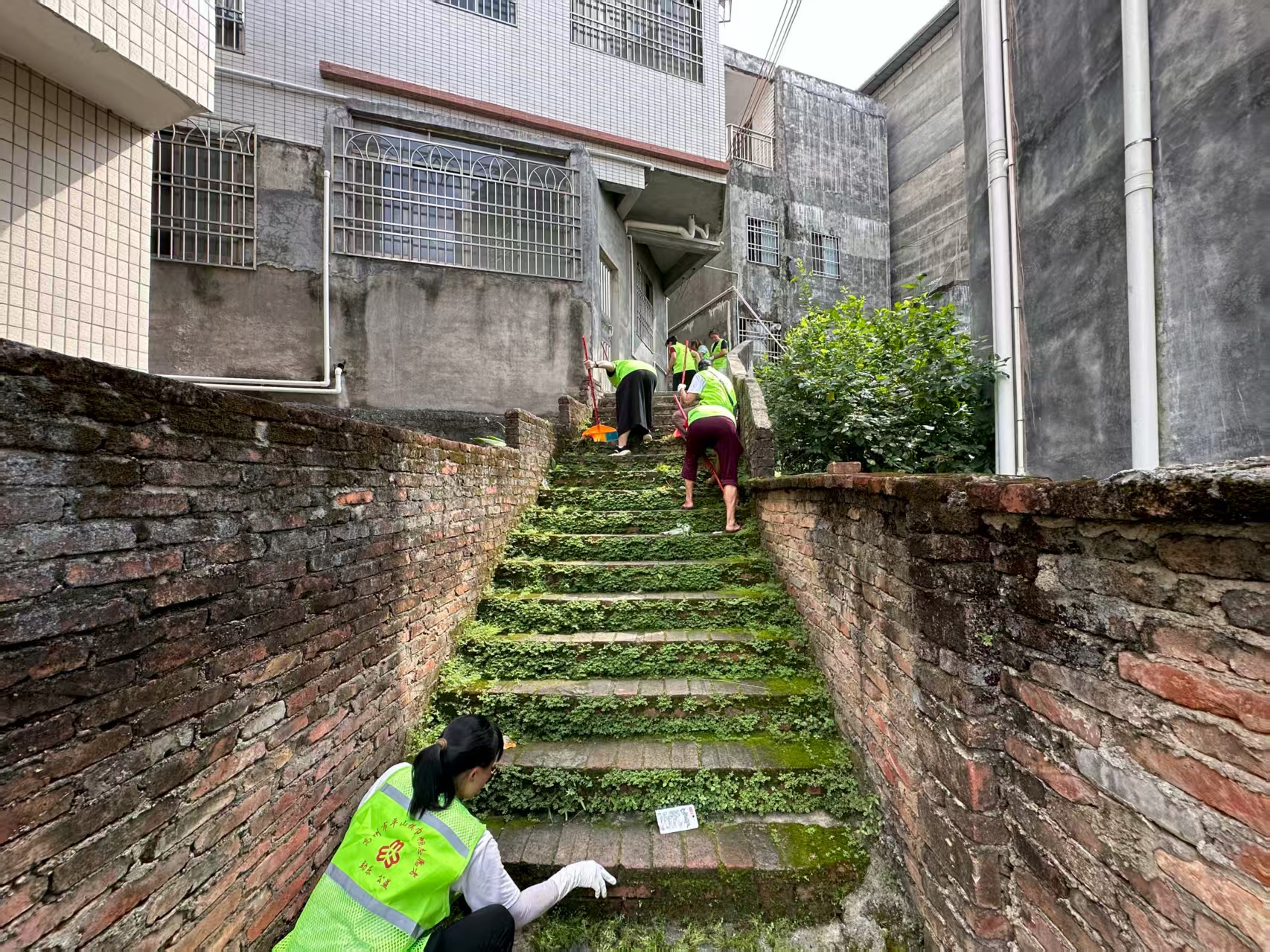 高州市平山巾帼志愿队：创卫行动，守护健康家园-5.jpg