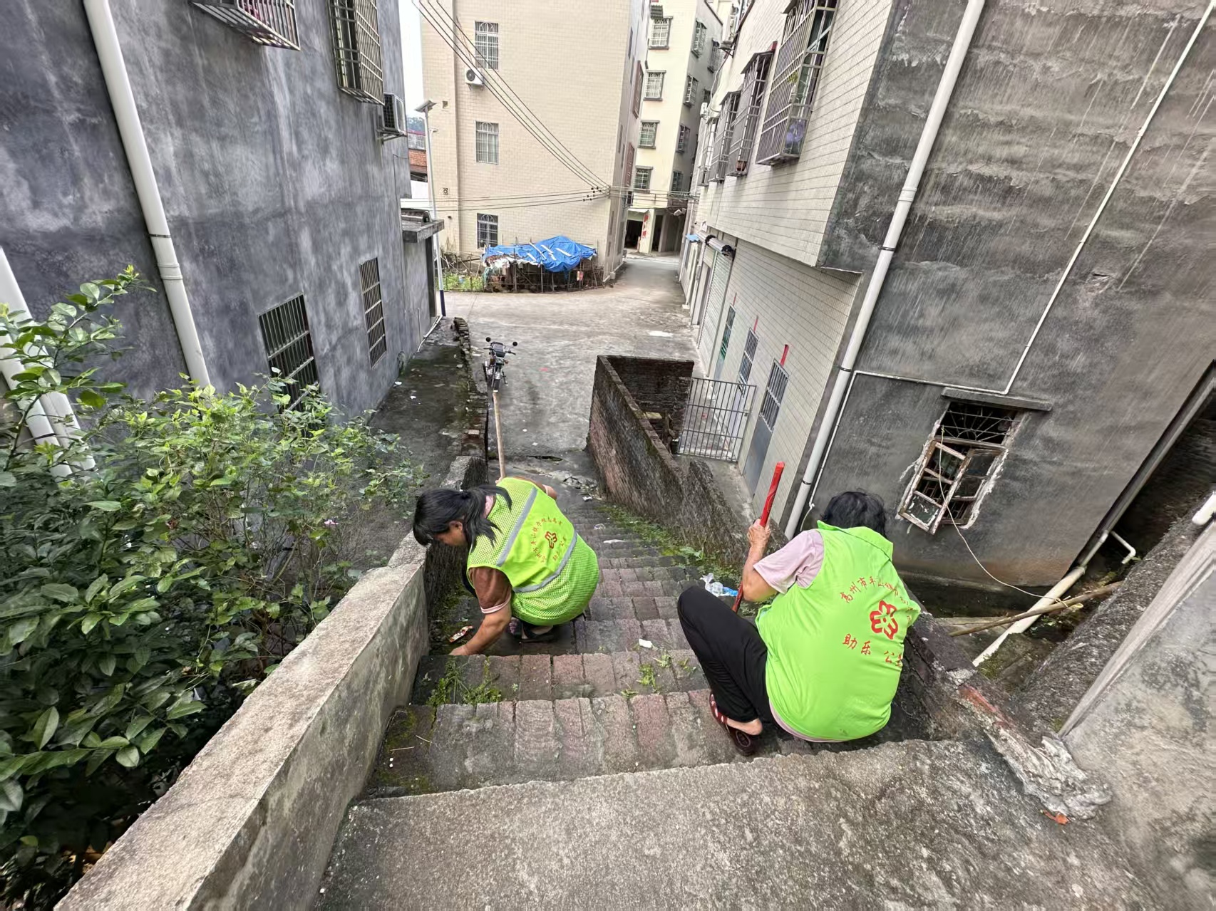 巾帼聚力灭蚊媒 守护创卫健康线-5.jpg