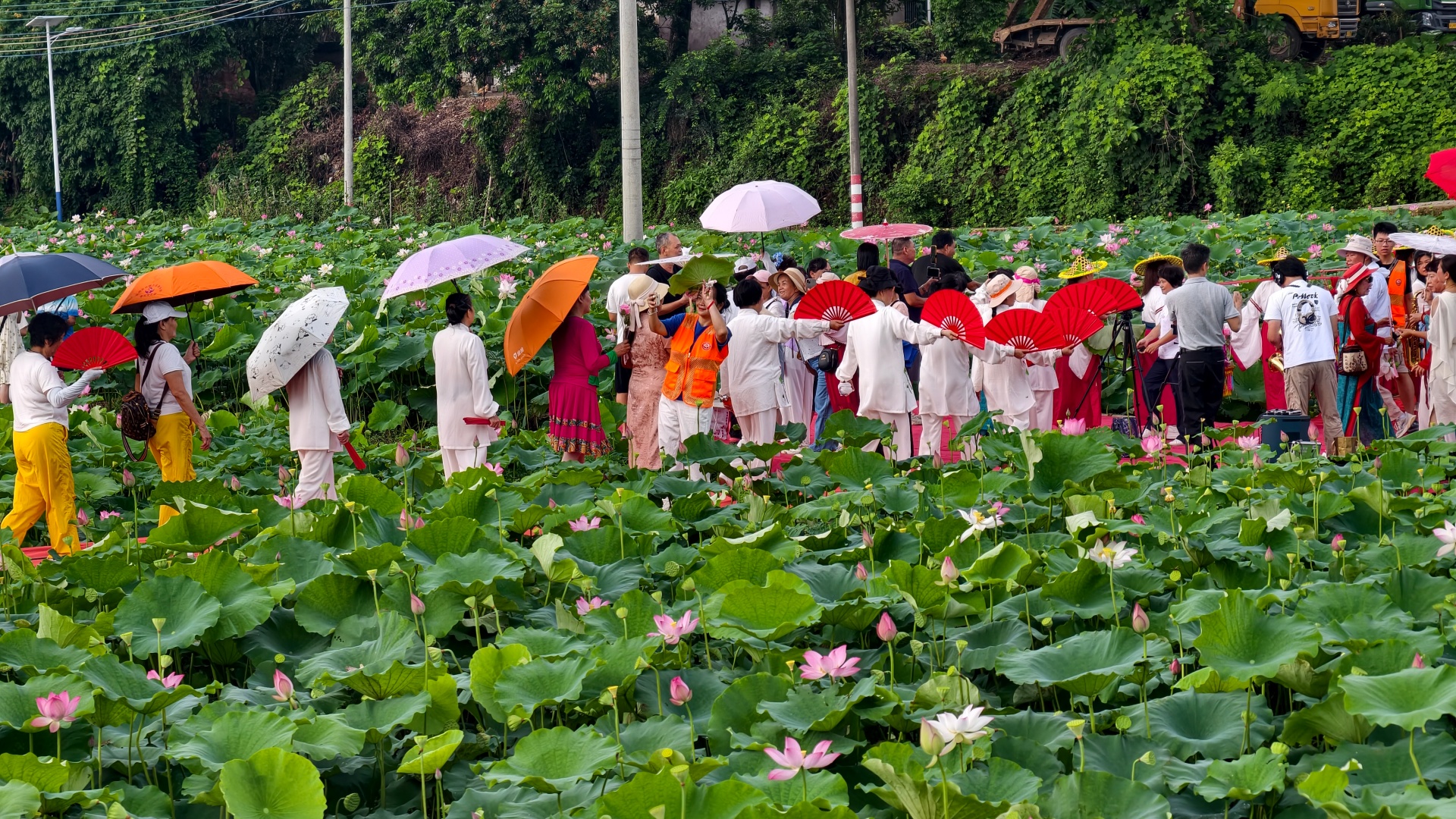荷风迎客，文旅兴村！「盛夏荷风·相约广潭」公益活动圆满举行-2.jpg