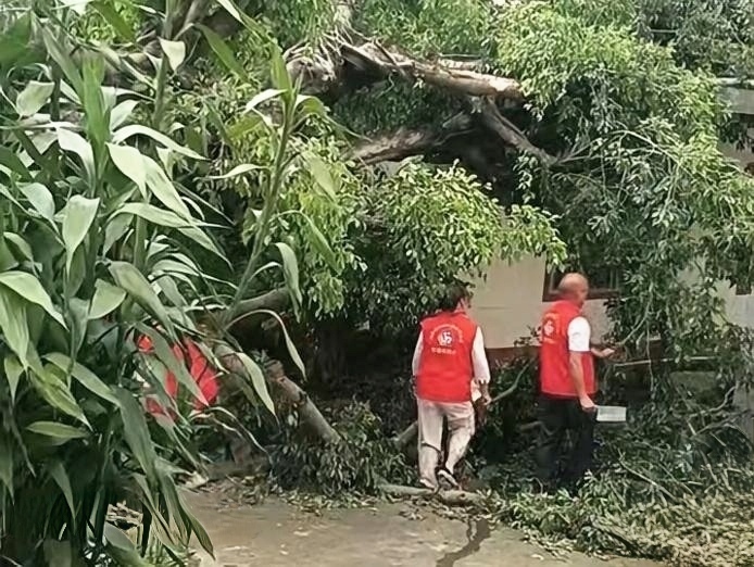 风雨清障保畅通 巾帼志愿显担当——南塘镇巾帼志愿服务队开展道路清障除险行动-2.jpg