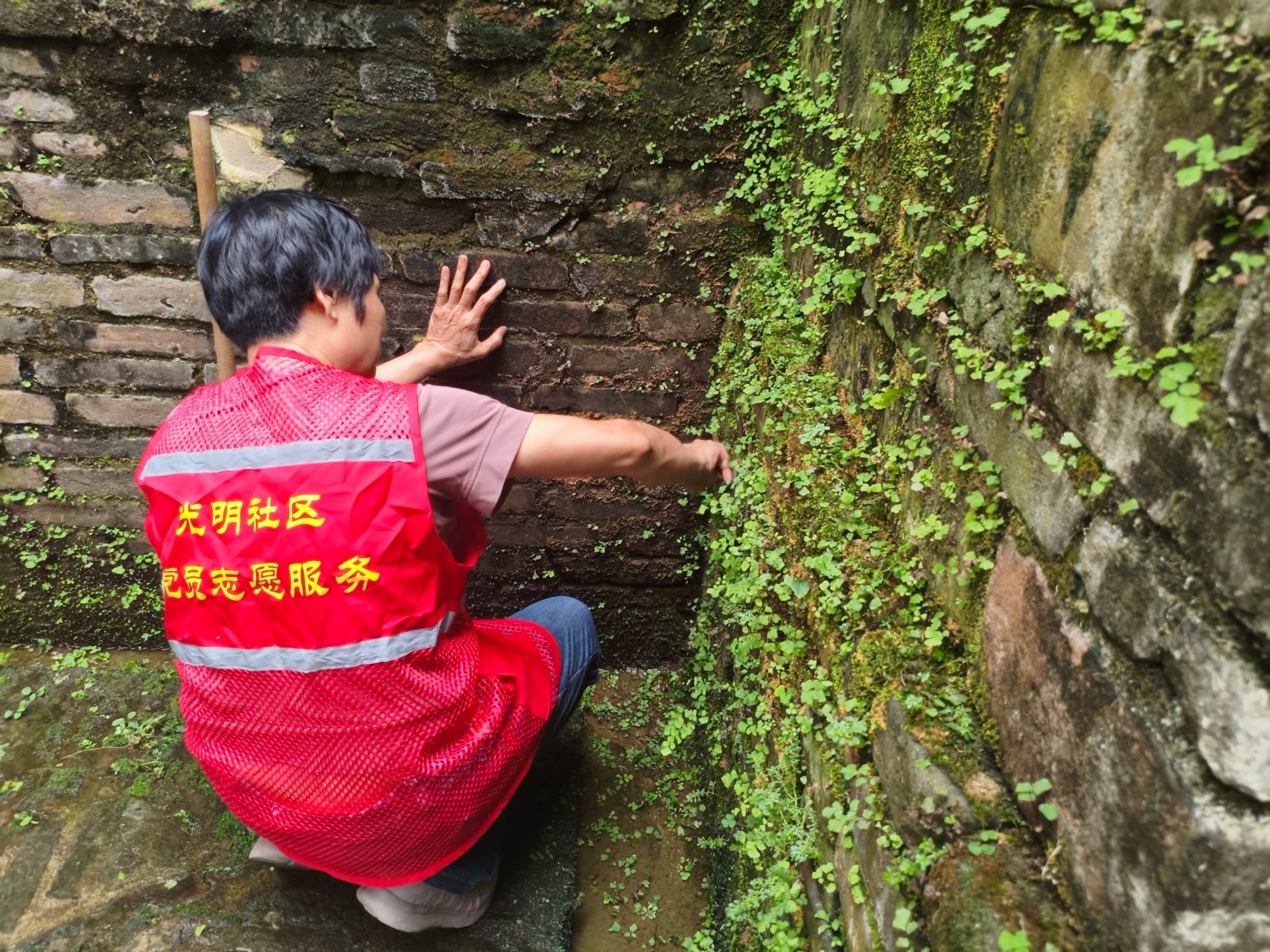 守护历史古迹 清洁美化家园——青松志愿服务总队联合光明社区开展思前井文物保护暨环境卫生整治活动-5.jpg